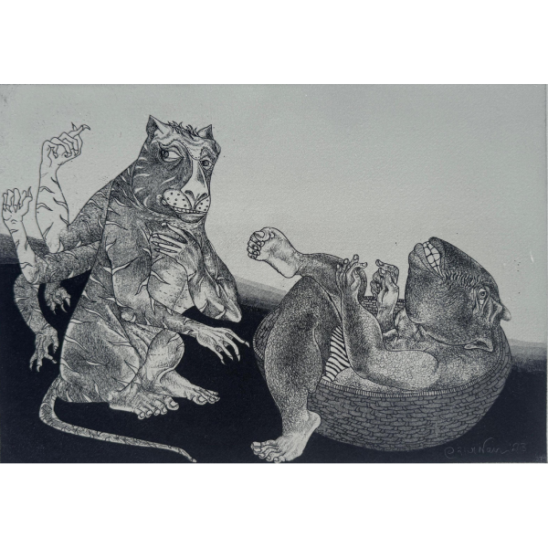 VN 5 Untitled